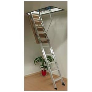 Access Ladder