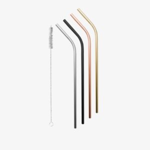 Avanti Stainless Steel Straw with Cleaning Brush (SH901)